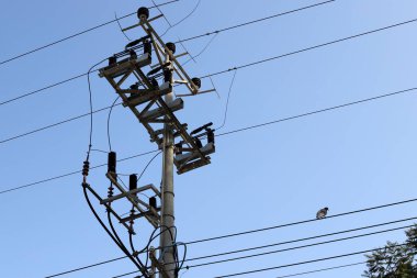 Elektrik direği ve kablo mavi gökyüzüne karşı. İsrail 'deki elektrik hatları yakın plan.. 