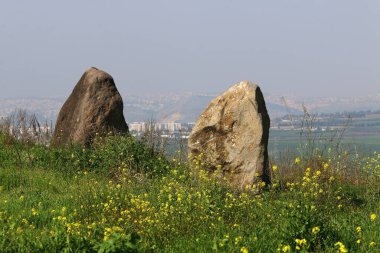Kuzey İsrail 'deki Akdeniz kıyısındaki bir şehir parkında büyük taşlar.. 