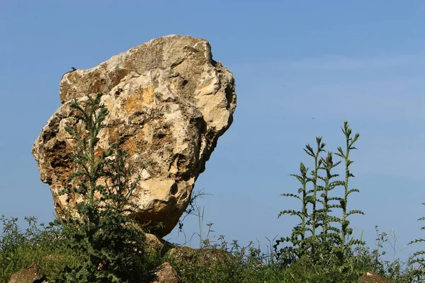 Grandes Piedras Parque Ciudad Orillas Del Mar Mediterráneo Norte Israel — Foto de Stock