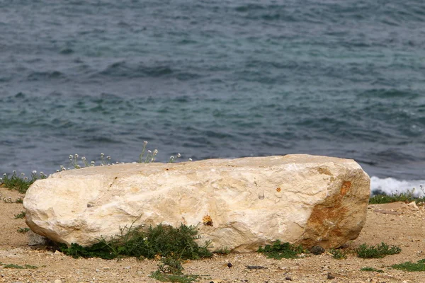 Μεγάλες Πέτρες Ένα Πάρκο Της Πόλης Στις Ακτές Της Μεσογείου — Φωτογραφία Αρχείου