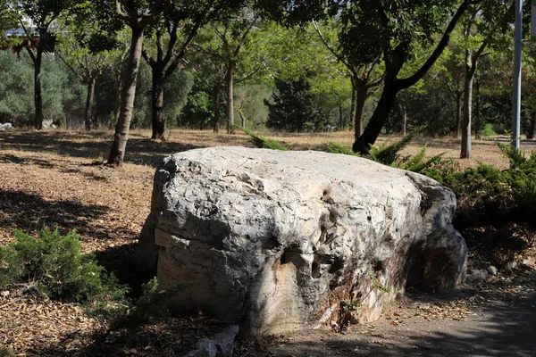 Grandes Piedras Parque Ciudad Orillas Del Mar Mediterráneo Norte Israel —  Fotos de Stock