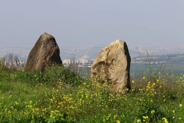 Kuzey Srail Deki Akdeniz Kıyısındaki Bir Şehir Parkında Büyük Taşlar — Stok fotoğraf