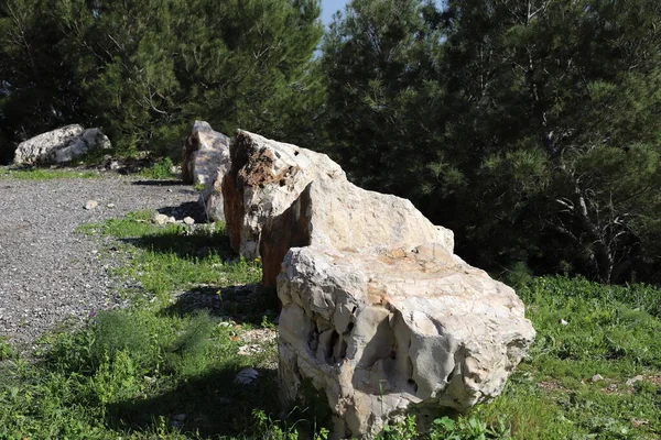 Große Steine Einem Stadtpark Ufer Des Mittelmeers Norden Israels — Stockfoto