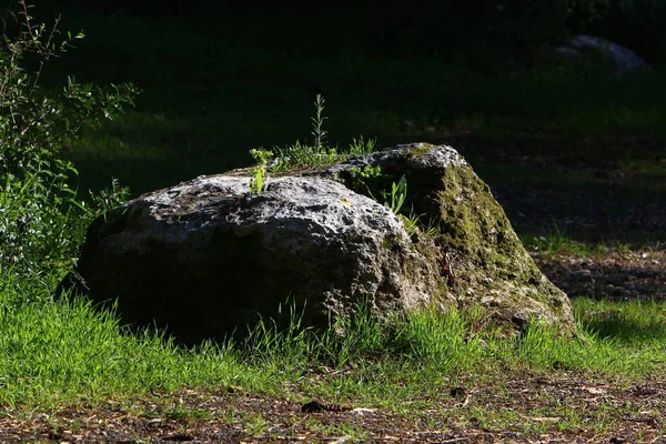 Large Stones City Park Shores Mediterranean Sea Northern Israel — Stock Photo, Image