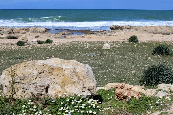 Grandes Pedras Parque Cidade Nas Margens Mar Mediterrâneo Norte Israel — Fotografia de Stock