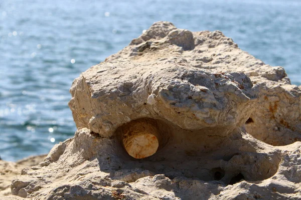 Large Stones City Park Shores Mediterranean Sea Northern Israel — Stock Photo, Image