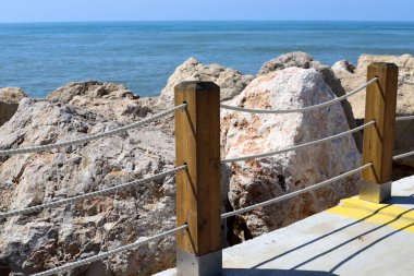 Akdeniz kıyısındaki Çit-çit 