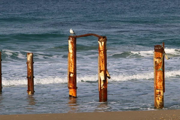 Clôture Haie Sur Rivage Surplombant Mer Méditerranée — Photo