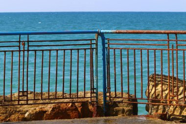 Akdeniz kıyısındaki Çit-çit 