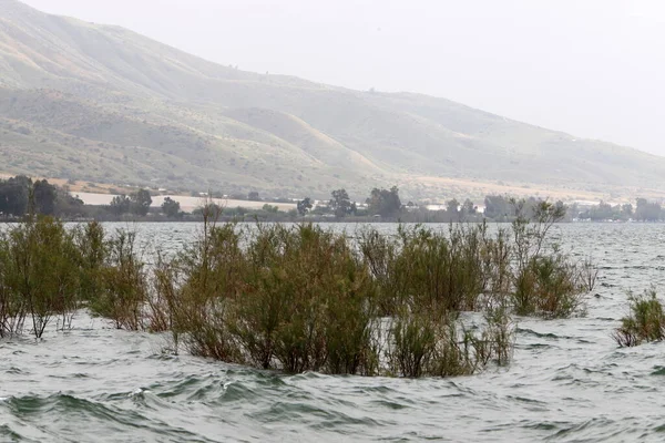 Kinneret Gölü Srail Kuzeydoğusunda Bir Tatlı Gölüdür Celile Denizi Nde — Stok fotoğraf
