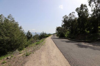 Keskin bir dönüş ve İsrail 'in kuzeyindeki bir ormanda bir dağ yoluna tırmanma 