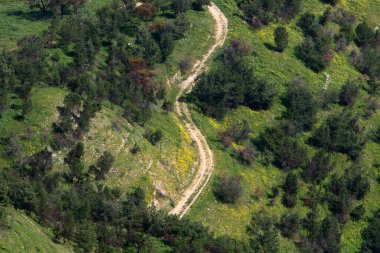 Keskin bir dönüş ve İsrail 'in kuzeyindeki bir ormanda bir dağ yoluna tırmanma 