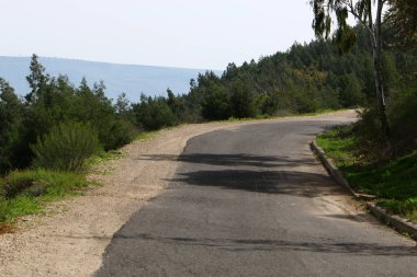 Keskin bir dönüş ve İsrail 'in kuzeyindeki bir ormanda bir dağ yoluna tırmanma 
