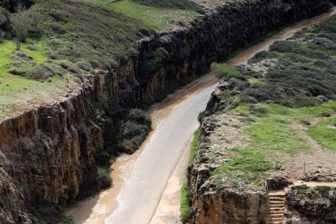 Keskin bir dönüş ve İsrail 'in kuzeyindeki bir ormanda bir dağ yoluna tırmanma 