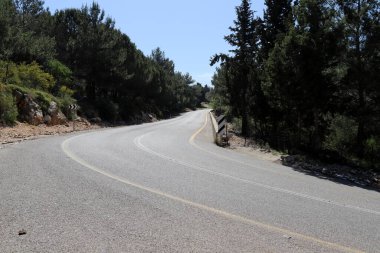 Keskin bir dönüş ve İsrail 'in kuzeyindeki bir ormanda bir dağ yoluna tırmanma 