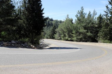 Keskin bir dönüş ve İsrail 'in kuzeyindeki bir ormanda bir dağ yoluna tırmanma 