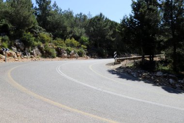 Keskin bir dönüş ve İsrail 'in kuzeyindeki bir ormanda bir dağ yoluna tırmanma 