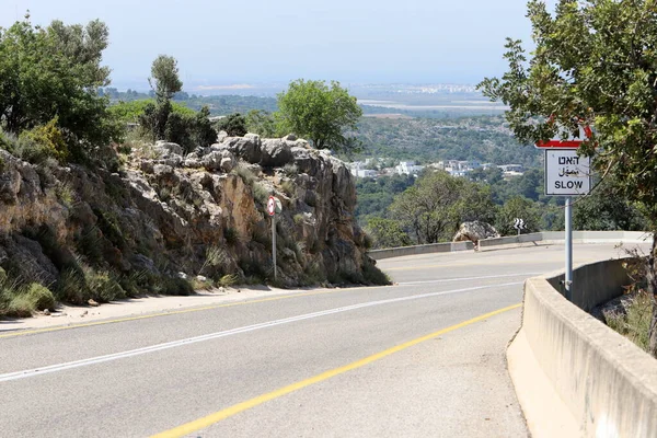 Giro Brusco Subir Camino Montaña Bosque Norte Israel — Foto de Stock