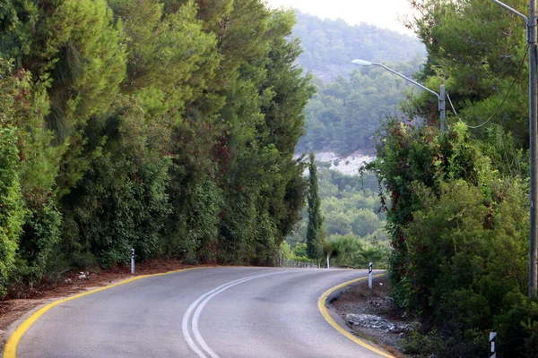 Giro Brusco Subir Camino Montaña Bosque Norte Israel — Foto de Stock