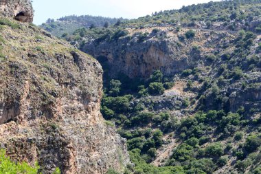 Kuzey İsrail 'deki dağların manzarası. Golan Tepeleri 'nde bahar çiçekleniyor.. 