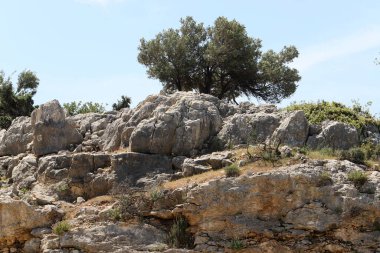 Kuzey İsrail 'deki dağların manzarası. Golan Tepeleri 'nde bahar çiçekleniyor.. 
