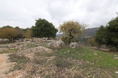 Kuzey İsrail 'deki dağların manzarası. Golan Tepeleri 'nde bahar çiçekleniyor.. 