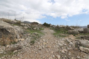 Kuzey İsrail 'deki dağların manzarası. Golan Tepeleri 'nde bahar çiçekleniyor.. 