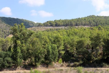 Kuzey İsrail 'deki dağların manzarası. Golan Tepeleri 'nde bahar çiçekleniyor.. 