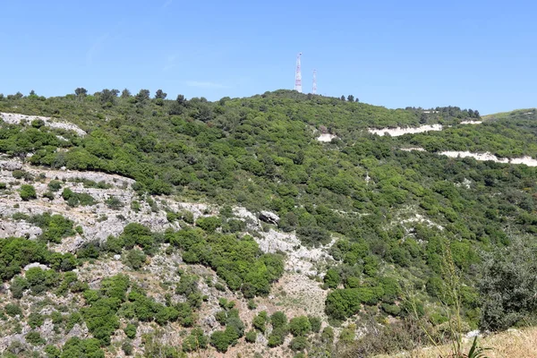 Landschaft Den Bergen Norden Israels Frühlingsblüte Auf Den Golanhöhen — Stockfoto