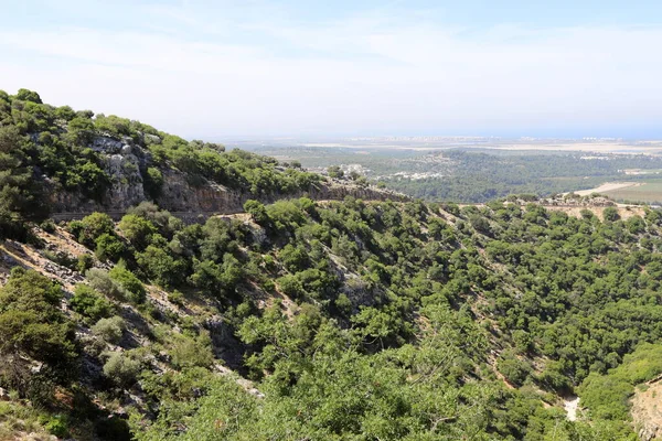 Paesaggio Sulle Montagne Nel Nord Israele Fioritura Primaverile Sulle Alture — Foto Stock