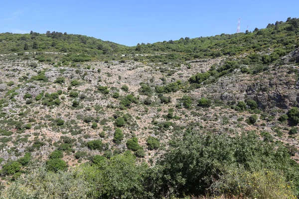 Paisaje Las Montañas Del Norte Israel Florecimiento Primavera Los Altos — Foto de Stock