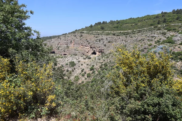 Landscape Mountains Northern Israel Spring Bloom Golan Heights — 스톡 사진