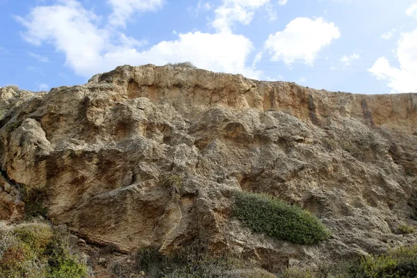 Kuzey İsrail 'deki dağların manzarası. Golan Tepeleri 'nde bahar çiçekleniyor.. 