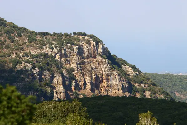 Paisagem Nas Montanhas Norte Israel Flor Primavera Nas Colinas Golan — Fotografia de Stock