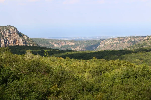 Landschap Bergen Het Noorden Van Israël Voorjaarsbloei Golanhoogte — Stockfoto