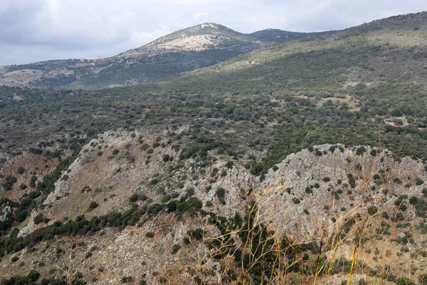 Paesaggio Sulle Montagne Nel Nord Israele Fioritura Primaverile Sulle Alture — Foto Stock