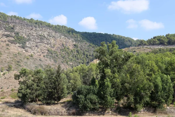 Landscape Mountains Northern Israel Spring Bloom Golan Heights — Foto Stock