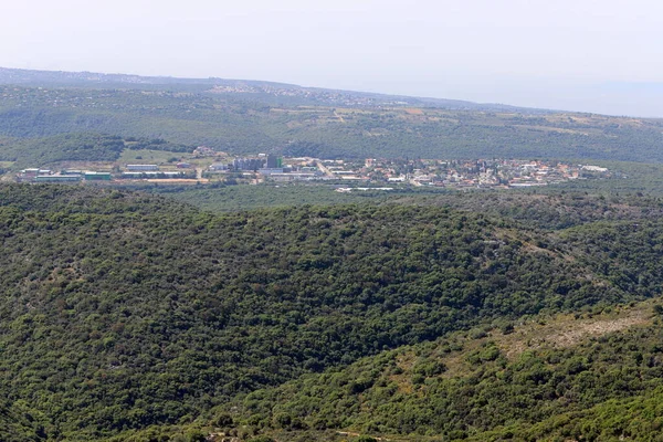 Landskap Fjellene Nordlige Israel Vårblomst Golanhøydene – stockfoto