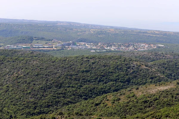 Krajobraz Górach Północnego Izraela Wiosenny Kwiat Golan Heights — Zdjęcie stockowe