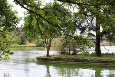 İtalya 'nın başkenti Roma' daki Tiber Nehri üzerindeki köprüler ve kıyılar 