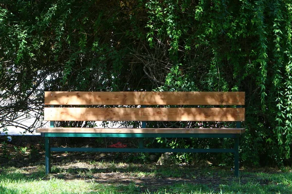 Bank Een Stadspark Aan Middellandse Zeekust — Stockfoto