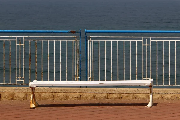 地中海沿岸一个城市公园的长椅 — 图库照片