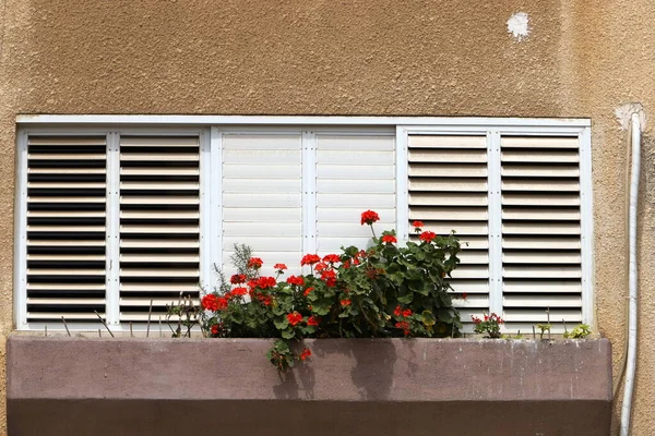 Küçük Pencere Srail Konut Inşaatının Mimari Bir Ayrıntısı — Stok fotoğraf