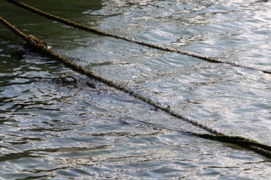 Akdeniz kıyısındaki limanda halat ve yatları bağlamak için. 