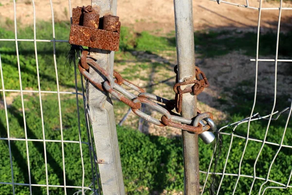 Velho Cadeado Ferro Pendurado Portão — Fotografia de Stock