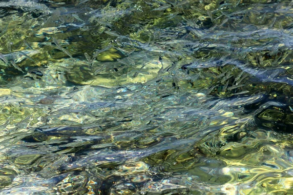 Χρώμα Του Θαλασσινού Νερού Στις Ακτές Της Μεσογείου — Φωτογραφία Αρχείου
