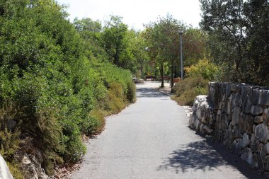Road for walking in the city park. 