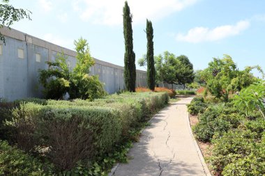 Şehir parkında yürümek için yol. 