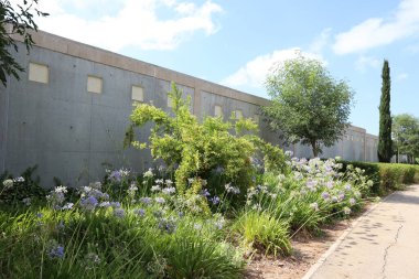 Şehir parkında yürümek için yol. 