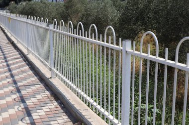Green plants and flowers grow on a fence in a city park.